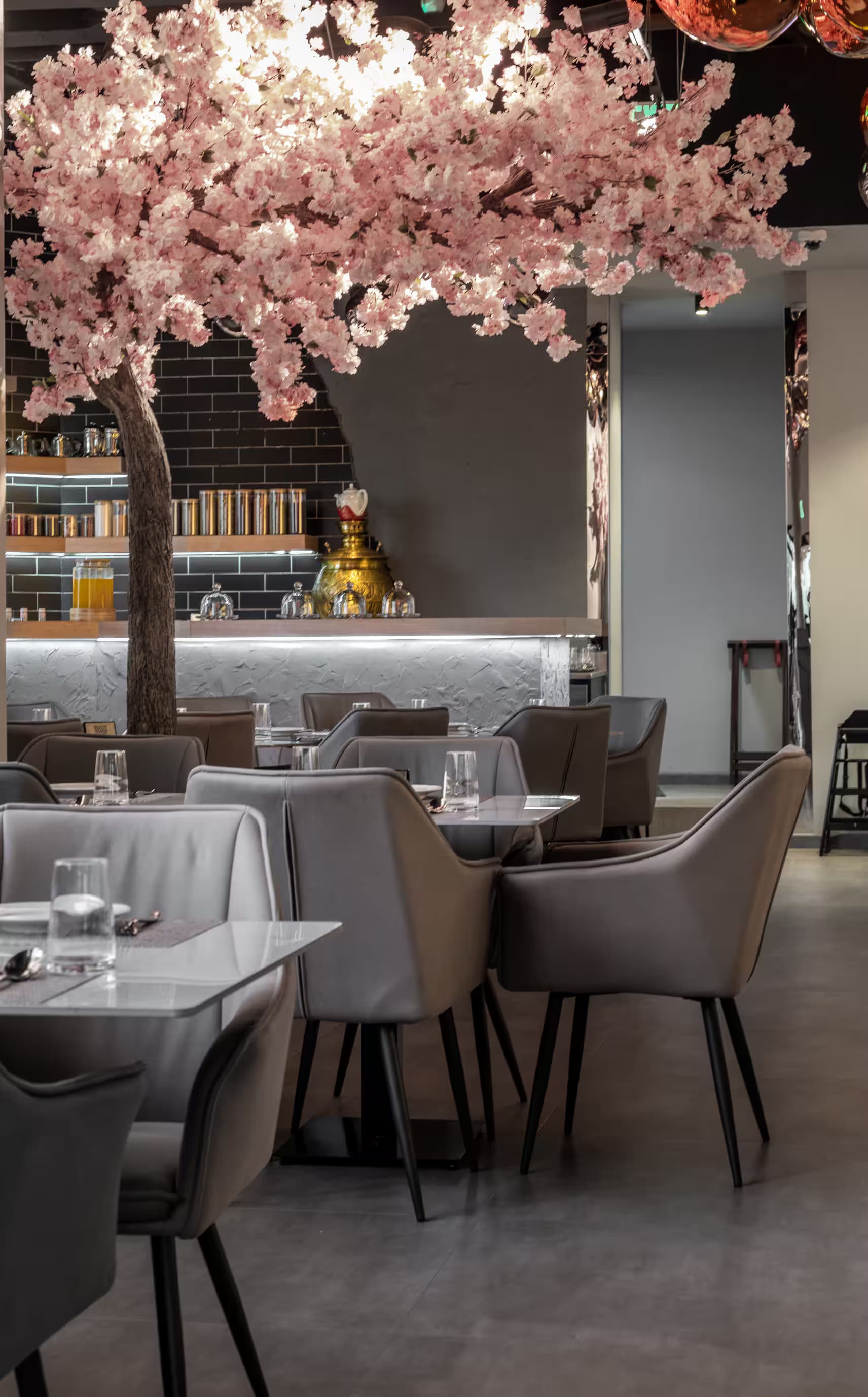 Upgraded Technical Systems